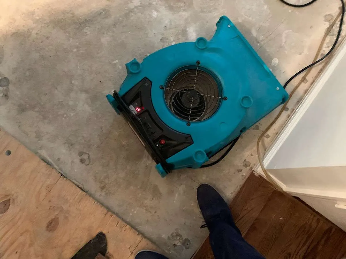 Air mover drying subfloor during Leak Detection & Repair in Floral City
